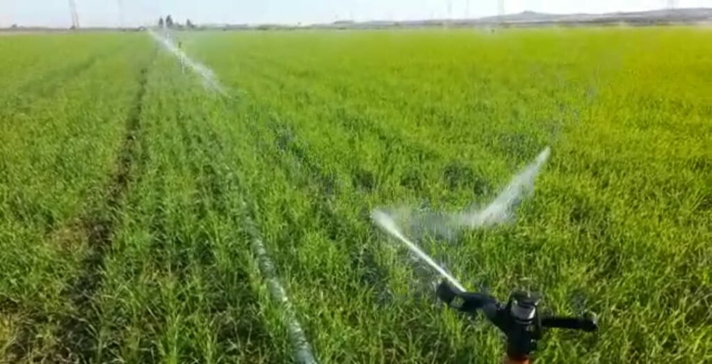 La Mesa Social Del Agua Acude A Bruselas A Denunciar Los Fallos En Los